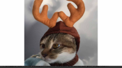 48F760F8-9B63-40DF-8D88-E7E3A6BDC613.png