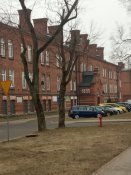 IMG_20190303_140534.jpg