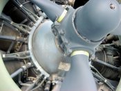 b-17g_50_of_58.jpg