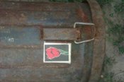 IMAG0224.jpg