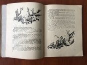 Книга/альбом Unterm Edelweiss in Jugoslawien