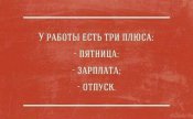 FB_IMG_1552658885610.jpg
