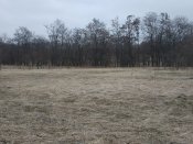 IMG_20190315_085709.jpg
