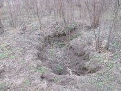 IMG_8590.JPG