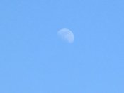 IMG_8589.JPG