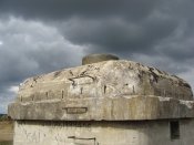DSC04811.JPG