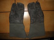DSCN0150.JPG
