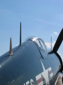 2438135D.jpg