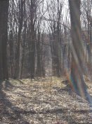 100_0823.JPG