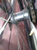 IMG_20190317_145440.jpg
