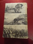 книга Строну Заслоняя Собой