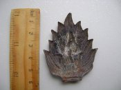 DSC02507.JPG