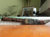 DSCF5062.JPG