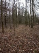IMG_20190317_135851.jpg