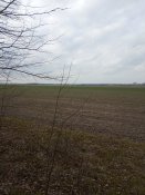 IMG_20190317_135911.jpg