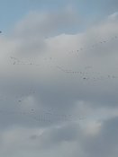 IMG_20190317_150711.jpg