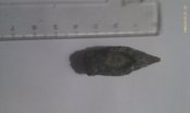 IMAG0133.jpg
