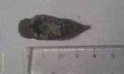IMAG0135.jpg