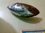 IMG_20190320_065713.jpg