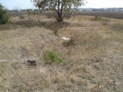 IMG_20120915_133334.jpg