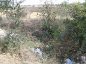 IMG_20120915_141844.jpg