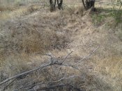 IMG_20120915_142421.jpg