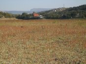 CIMG8396.JPG