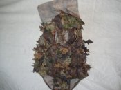 DSC02046.JPG