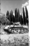 1461913934-bundesarchiv-bild-101i-477-2124-25a-italien-panzer-v-panther-1  Д поздняя.jpg