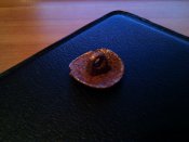 IMG_20120916_143519.jpg