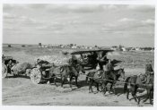 Перекоп2.jpg