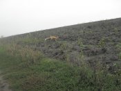 SDC15881.jpg