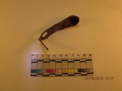 IMG_3312sm.jpg