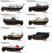1454985885_sdkfz251.jpg