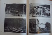 DSC07418.jpg