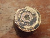 SDC10840.jpg