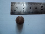 DSC04427.jpg