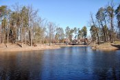DSC_0517.jpg