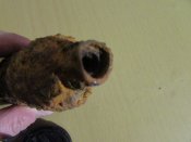 IMG_6587.JPG