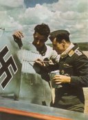 luftwaffe_kills.jpg