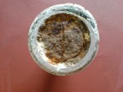 DSC01170a.jpg