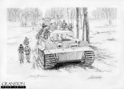 тигры ч..б (3).jpg