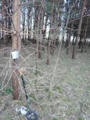 IMG_20190324_174417.jpg