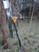 IMG_20190324_174436.jpg