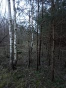IMG_20190324_174455.jpg
