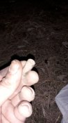 20190324_182055.jpg