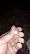 20190324_182042.jpg