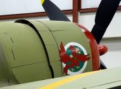 24P47ThunderboltNoseArt-1.jpg