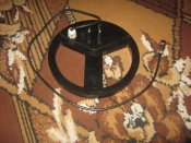 IMG_2759.jpg