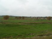 S1052214.jpg